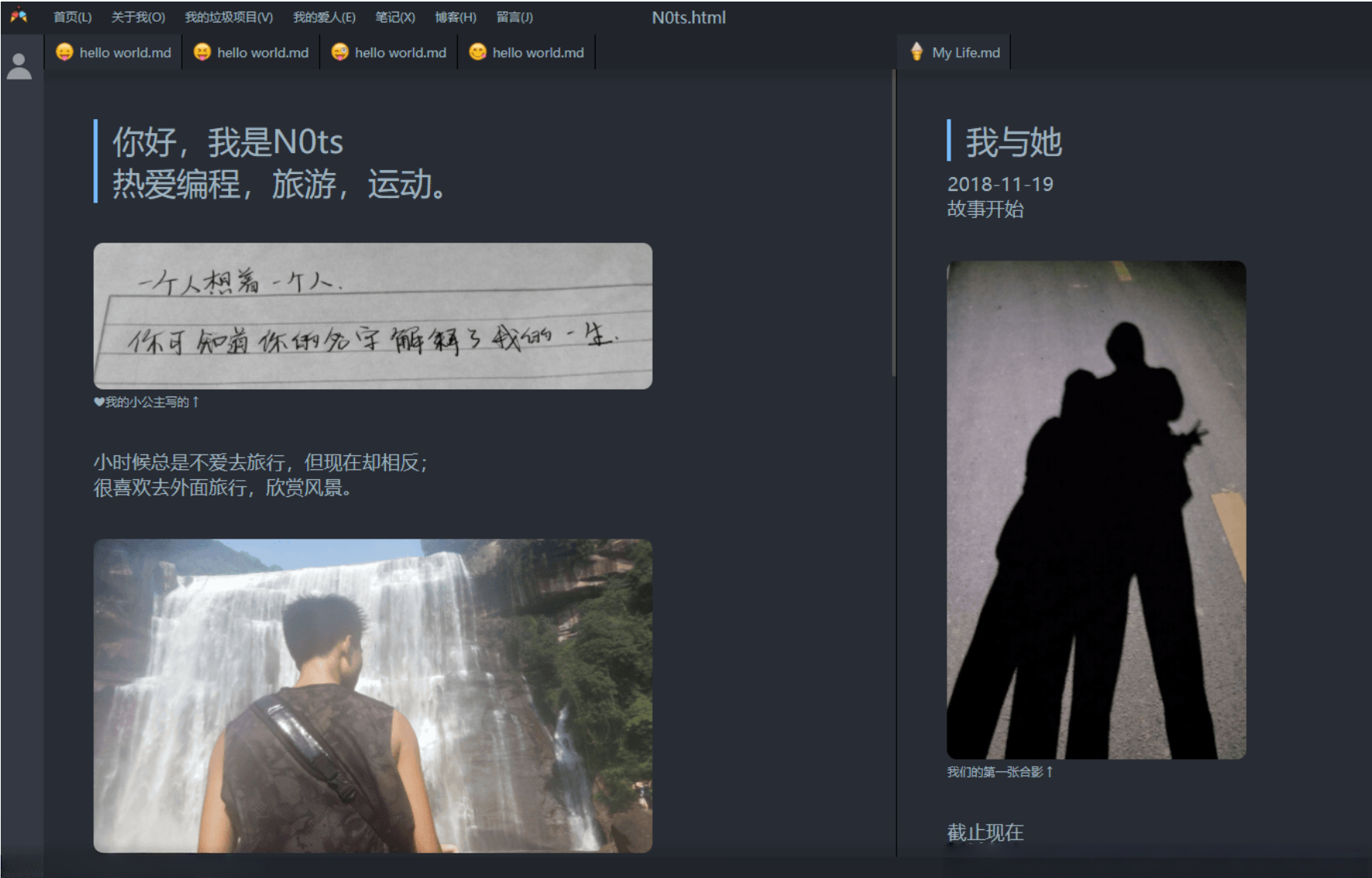 VSCode主题风格个人主页源码-灰铲源码