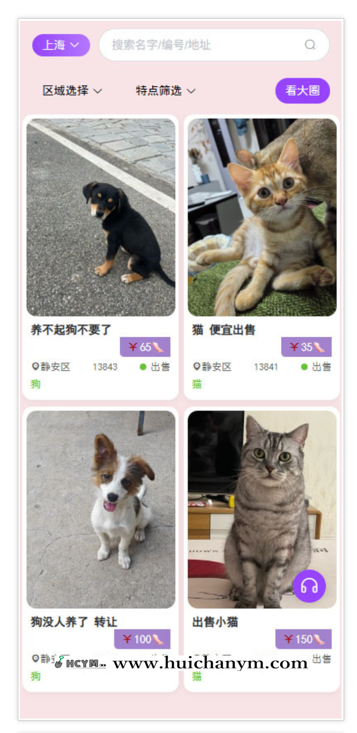 相册网站图片网站聊天网站宠物源码图库宠物写真图在线注册交友聊天相册相片-灰铲源码