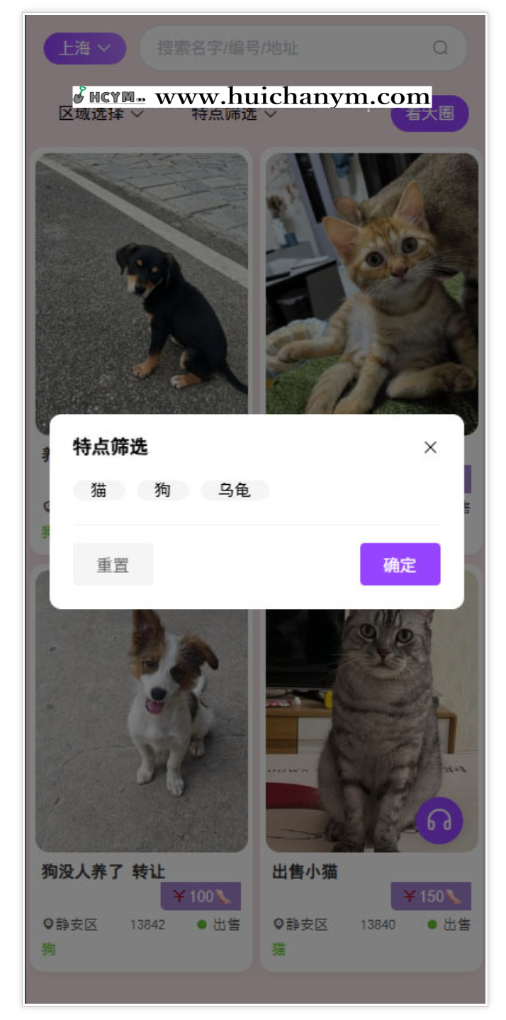图片[2]-相册网站图片网站聊天网站宠物源码图库宠物写真图在线注册交友聊天相册相片-灰铲源码