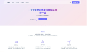 YPay聚合支付系统源码(个人站长版)-灰铲源码