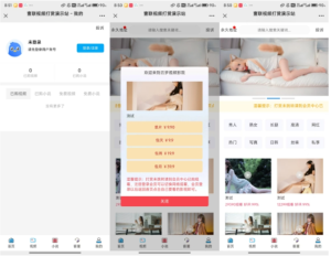 写真内容打赏系统源码(代理版)-灰铲源码