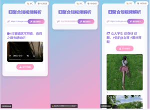 二次元短视频解析系统源码(双端优化版)-灰铲源码