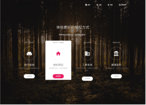 云端域名授权管理系统源码(企业级)-灰铲源码