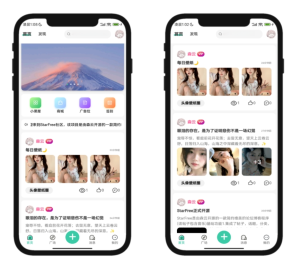 StarFree论坛系统源码（2025开源版）-灰铲源码