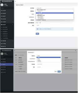 彩虹DNS管理系统V2.0.1(SSL全自动版)-灰铲源码
