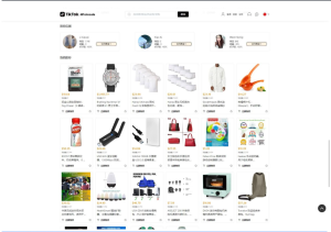 TikTok跨境商城系统源码（UniApp全栈版）-灰铲源码