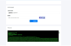 PHP代码安全加密系统源码（专业版）-灰铲源码