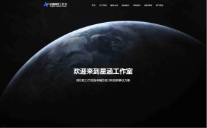 星涵企业官网管理系统-灰铲源码