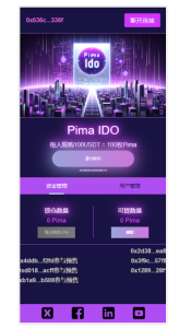 全新bsc链DAPP|USDT预售DAPP|区块链邀请推荐预售源码(含预售solidity和约)-灰铲源码