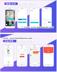 IM即时通讯/聊天软件/原生APP/苹果/安卓/高仿VX/在线客服/全原生版本/带部署文档-灰铲源码
