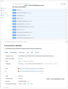区块链EVM公链整套源代码-灰铲源码