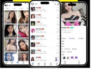 想聊付费语音视频文字聊天交友app开发源码系统美颜婚恋相亲房间即时通讯直播短视频-灰铲源码