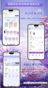 25商用级X1陪聊系统源码 - 树洞情感+盲盒交友平台-灰铲源码
