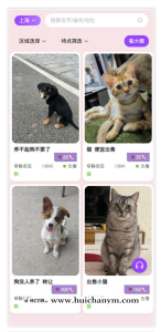 相册网站图片网站聊天网站宠物源码图库宠物写真图在线注册交友聊天相册相片-灰铲源码