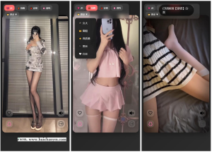 随机小姐姐视频源码（附接口） - PHP开发/多分类请求/快速搭建-灰铲源码