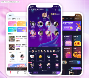 同城交友APP源码智能匹配付费语音视频聊天团队分销机制系统源码-灰铲源码