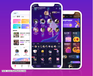 同城交友婚恋APP系统源码智能匹配一对一视频聊天婚介红娘分销加盟门店系统源码-灰铲源码